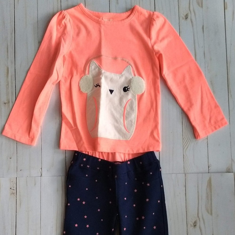 Girls Gymboree Owl Outfit Size 3
